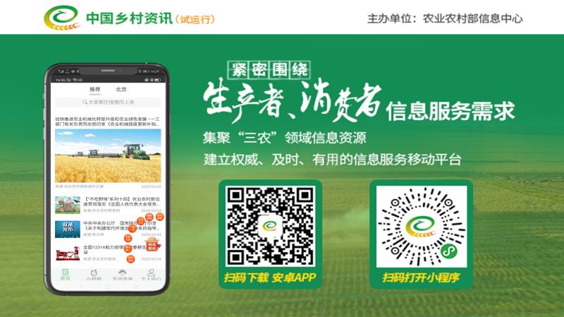 中国乡村资讯